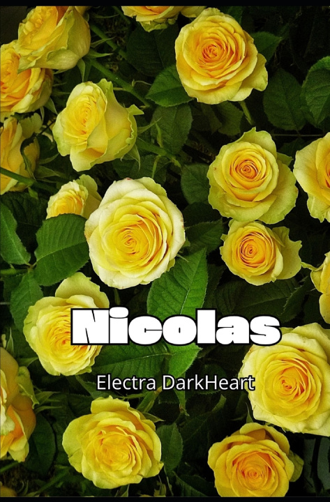 Książka Nicolas Electra DarkHeart