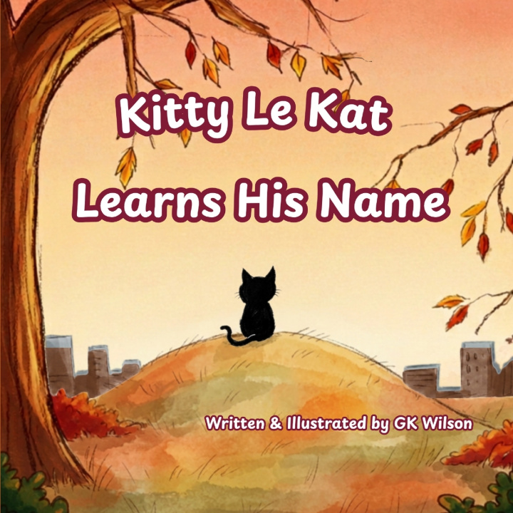 Könyv Kitty Le Kat Learns His Name GK Wilson