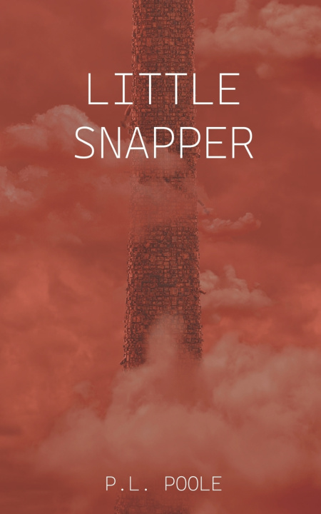Книга Little Snapper P.L. Poole