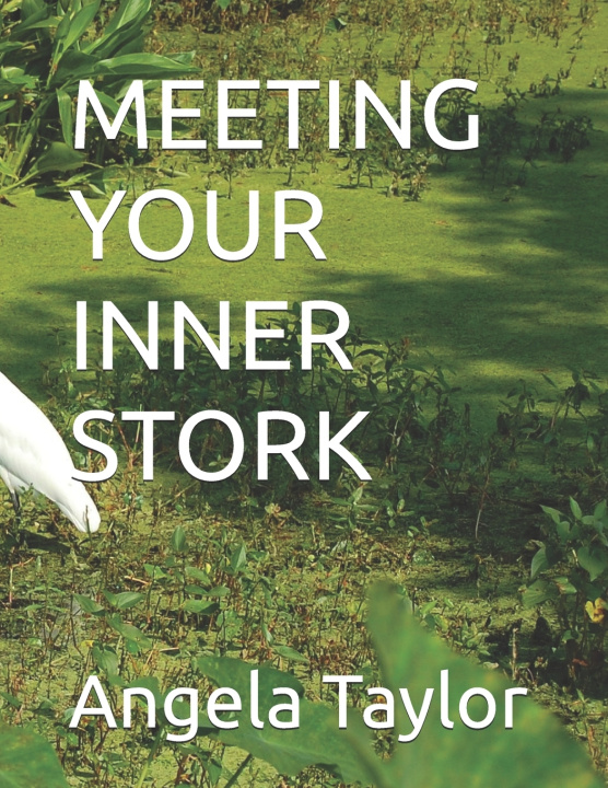 Βιβλίο MEETING YOUR INNER STORK Angela Taylor