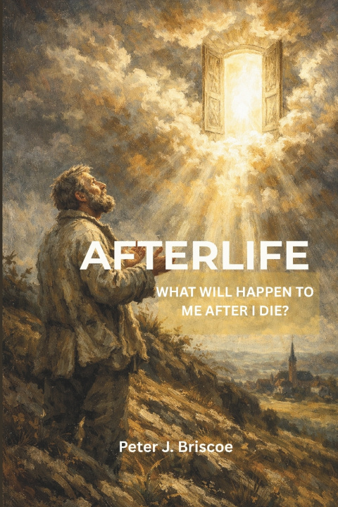 Könyv AFTERLIFE Peter J. Briscoe