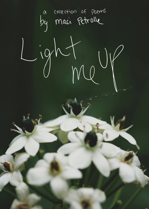 Book Light Me Up Maci Petrolle