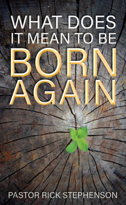 Buch What Does It Mean To Be Born Again? Rick Stephenson