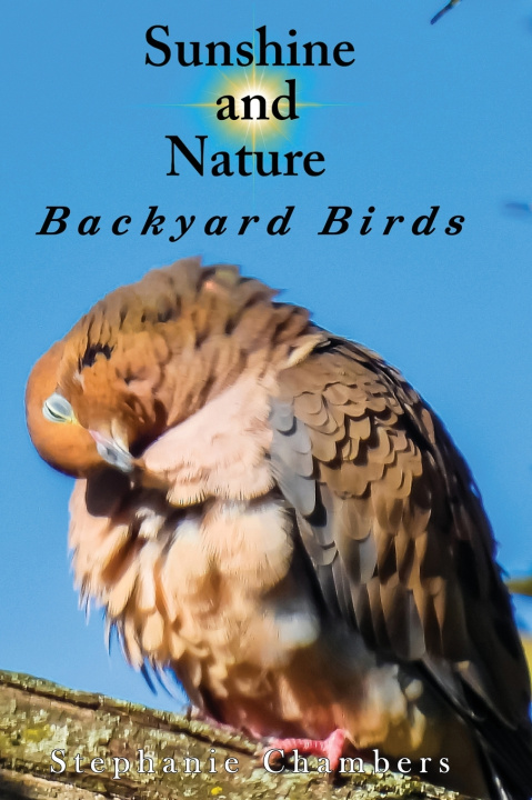 Buch Sunshine and Nature Chambers