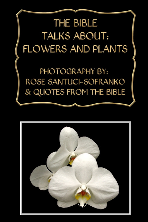 Buch The Bible Talks About Rose Santuci