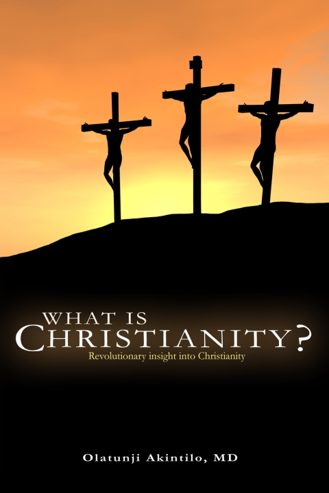 Könyv What is Christianity? Olatunji Akintilo