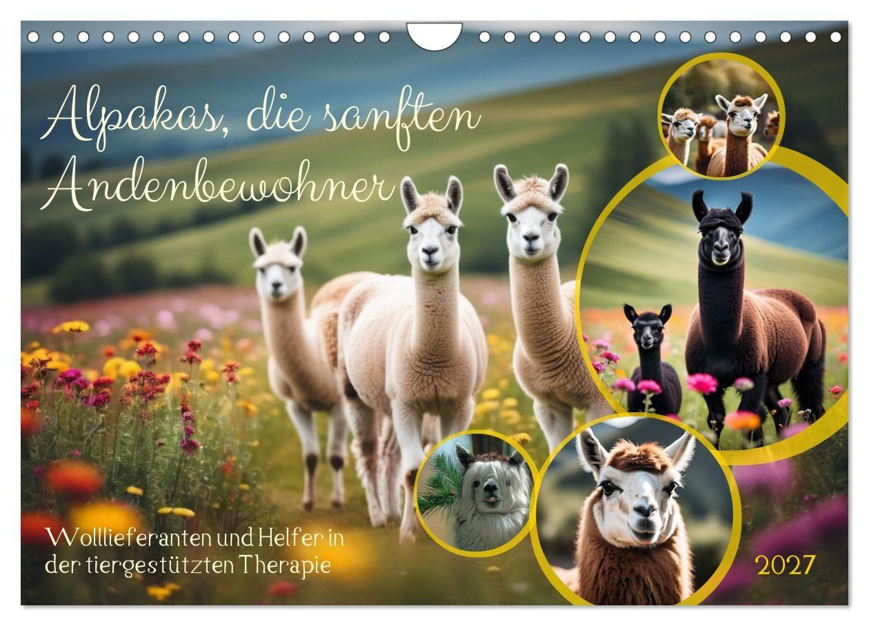 Kalendář/Diář Alpakas, die sanften Andenbewohner (Wandkalender 2027 DIN A4 quer), CALVENDO Monatskalender Calvendo