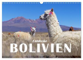 Kalender/Terminbuch Entdecke Bolivien (Wandkalender 2027 DIN A3 quer), CALVENDO Monatskalender Calvendo