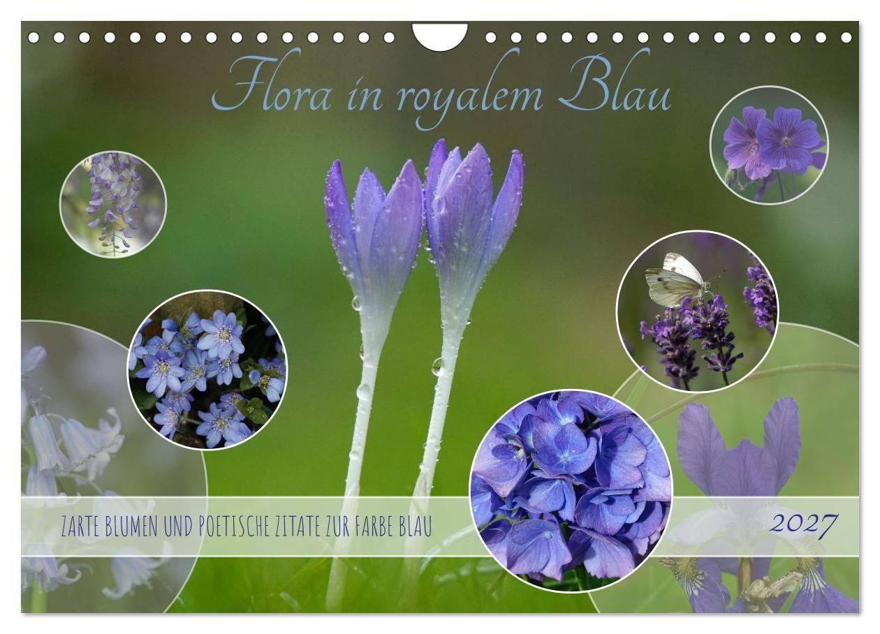 Kalender/Terminbuch Flora in royalem Blau (Wandkalender 2027 DIN A4 quer), CALVENDO Monatskalender Calvendo