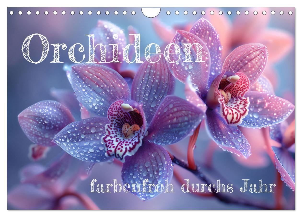 Kalendár/Diár Orchideen - farbenfroh durchs Jahr (Wandkalender 2027 DIN A4 quer), CALVENDO Monatskalender Calvendo