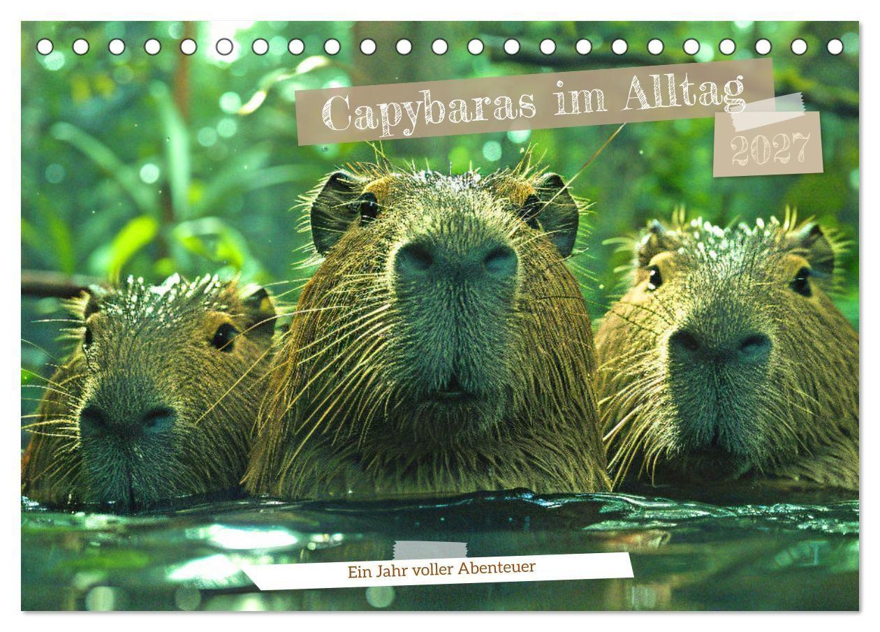 Kalender/agenda Capybaras im Alltag - Ein Jahr voller Abenteuer (Tischkalender 2027 DIN A5 quer), CALVENDO Monatskalender Calvendo