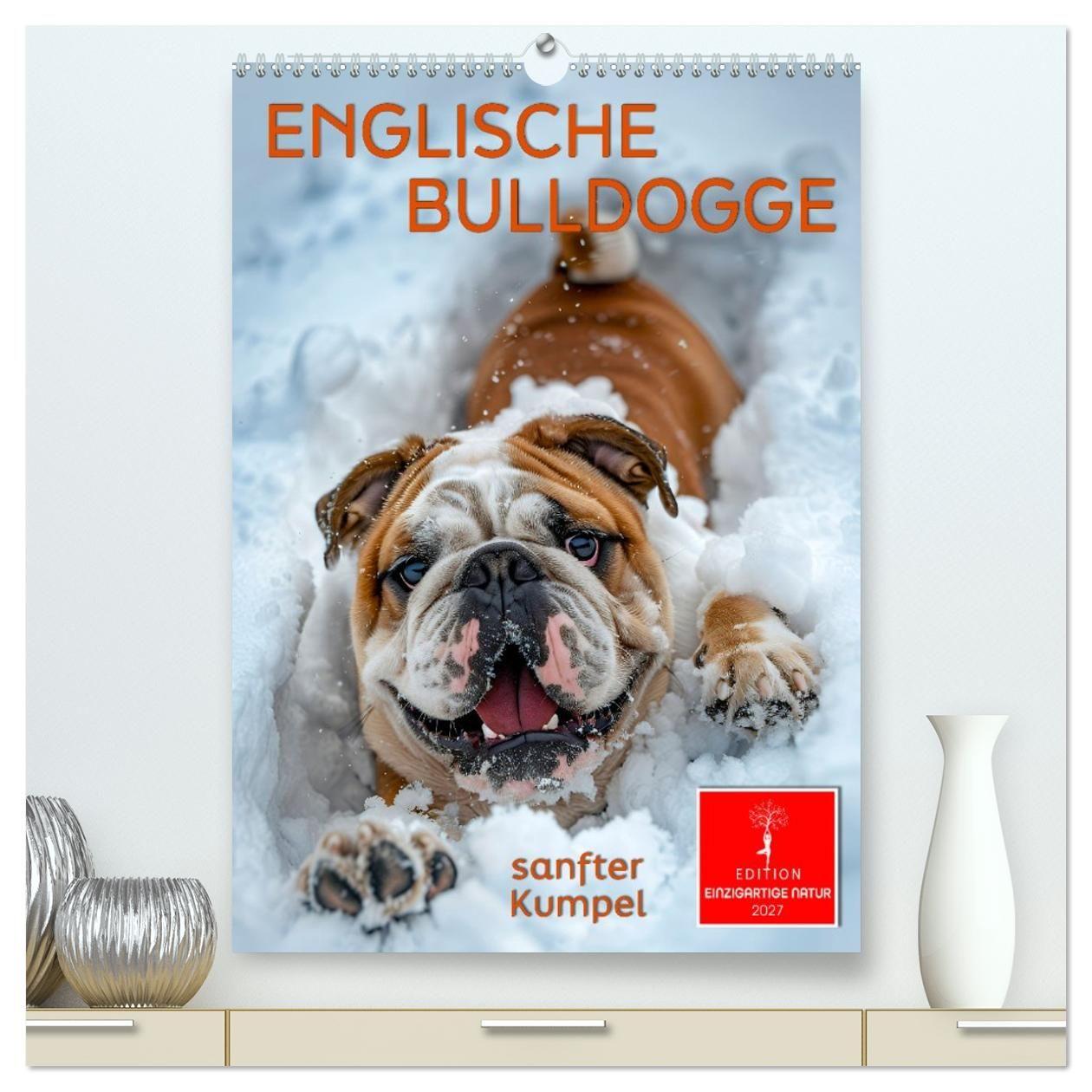 Kalender/Terminbuch Englische Bulldogge - sanfter Kumpel (hochwertiger Premium Wandkalender 2027 DIN A2 hoch), Kunstdruck in Hochglanz Calvendo