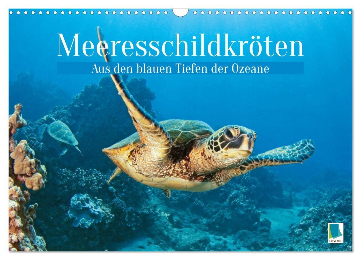 Kalender/Terminbuch Meeresschildkröten: Aus den blauen Tiefen der Ozeane (Wandkalender 2027 DIN A3 quer), CALVENDO Monatskalender Calvendo