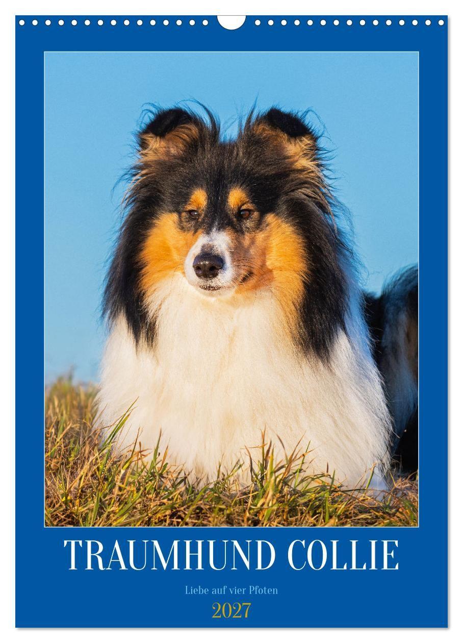 Kalender/agenda Traumhund Collie - Liebe auf vier Pfoten (Wandkalender 2027 DIN A3 hoch), CALVENDO Monatskalender Calvendo