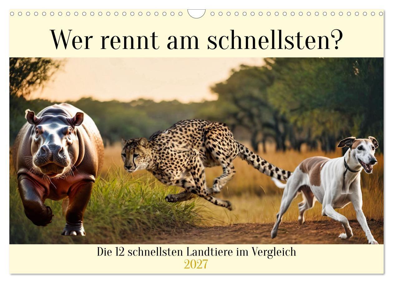 Kalender/agenda Wer rennt am schnellsten? (Wandkalender 2027 DIN A3 quer), CALVENDO Monatskalender Calvendo