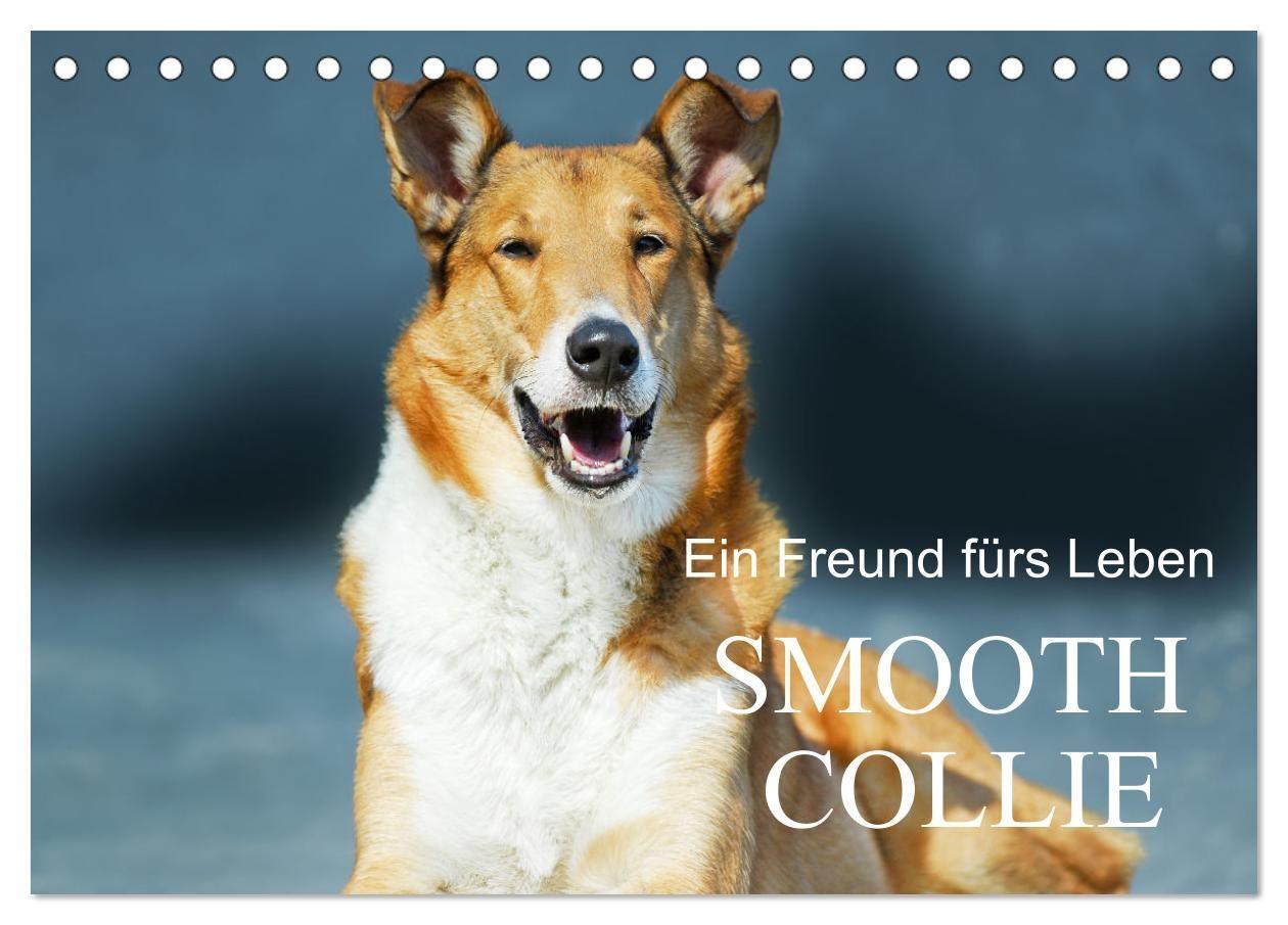 Kalender/agenda Ein Freund fürs Leben - Smooth Collie (Tischkalender 2027 DIN A5 quer), CALVENDO Monatskalender Calvendo