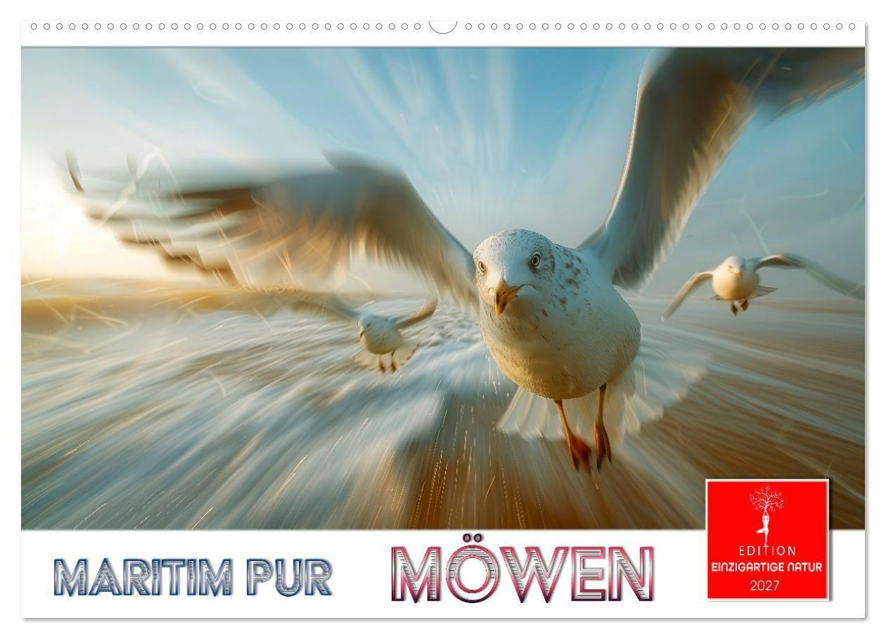 Kalender/Terminbuch Maritim pur - Möwen (Wandkalender 2027 DIN A2 quer), CALVENDO Monatskalender Calvendo