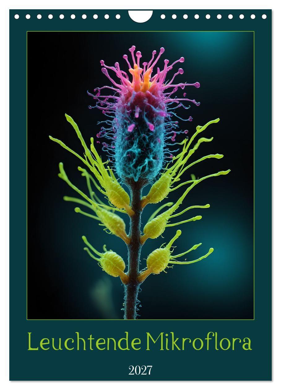 Kalender/Terminbuch Leuchtende Mikroflora (Wandkalender 2027 DIN A4 hoch), CALVENDO Monatskalender Calvendo