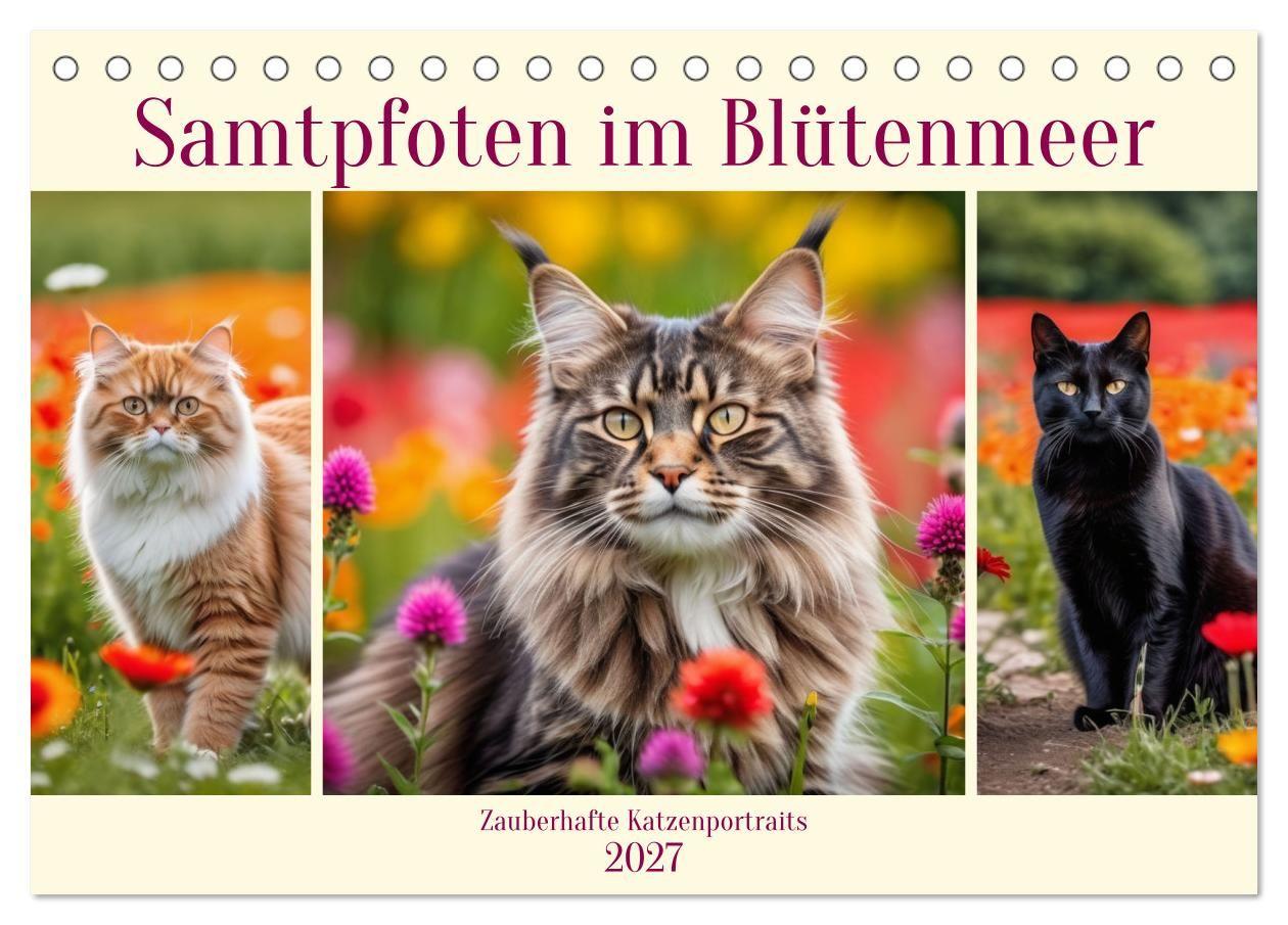 Kalender/Terminbuch Samtpfoten im Blütenmeer (Tischkalender 2027 DIN A5 quer), CALVENDO Monatskalender Calvendo