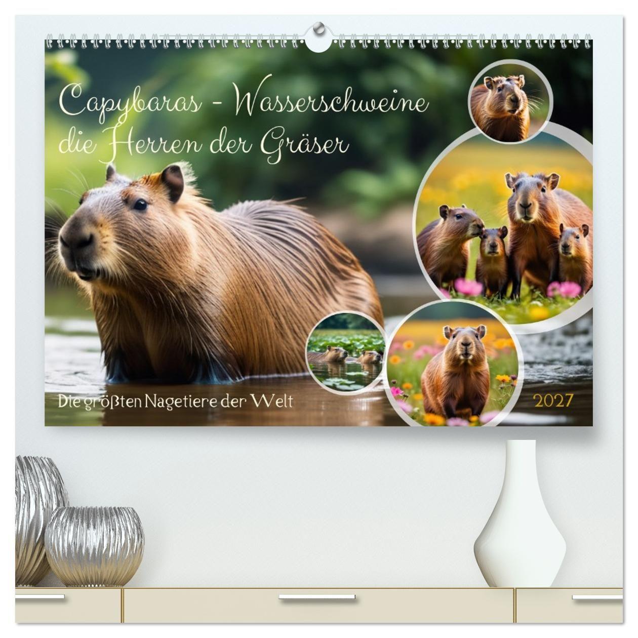 Kalender/Terminbuch Capybaras - Wasserschweine die Herren der Gräser (hochwertiger Premium Wandkalender 2027 DIN A2 quer), Kunstdruck in Hochglanz Calvendo