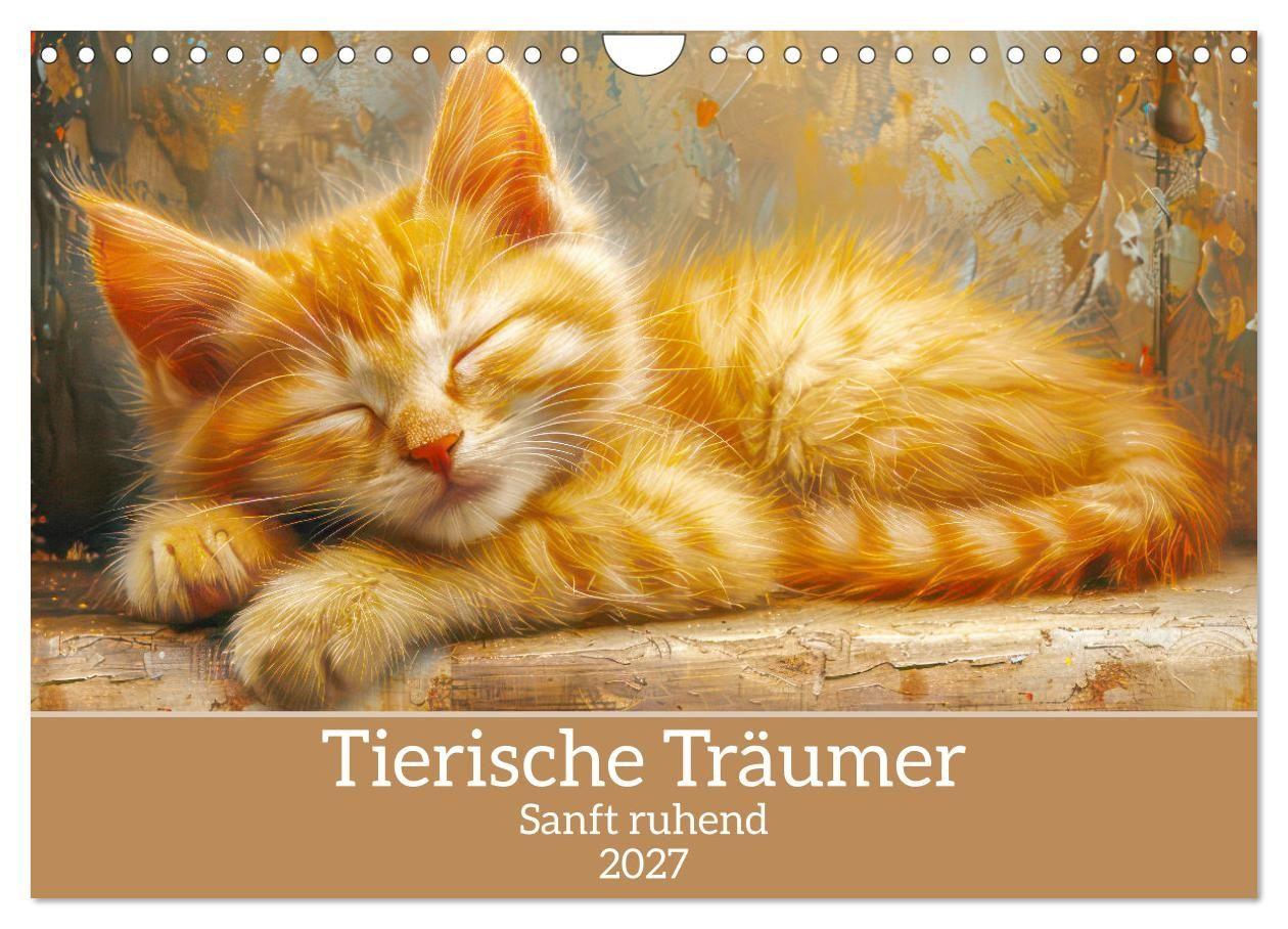 Kalendář/Diář Tierische Träumer - Sanft ruhend (Wandkalender 2027 DIN A4 quer), CALVENDO Monatskalender Calvendo