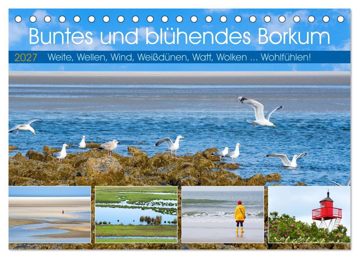 Kalendár/Diár Buntes und blühendes Borkum (Tischkalender 2027 DIN A5 quer), CALVENDO Monatskalender Calvendo