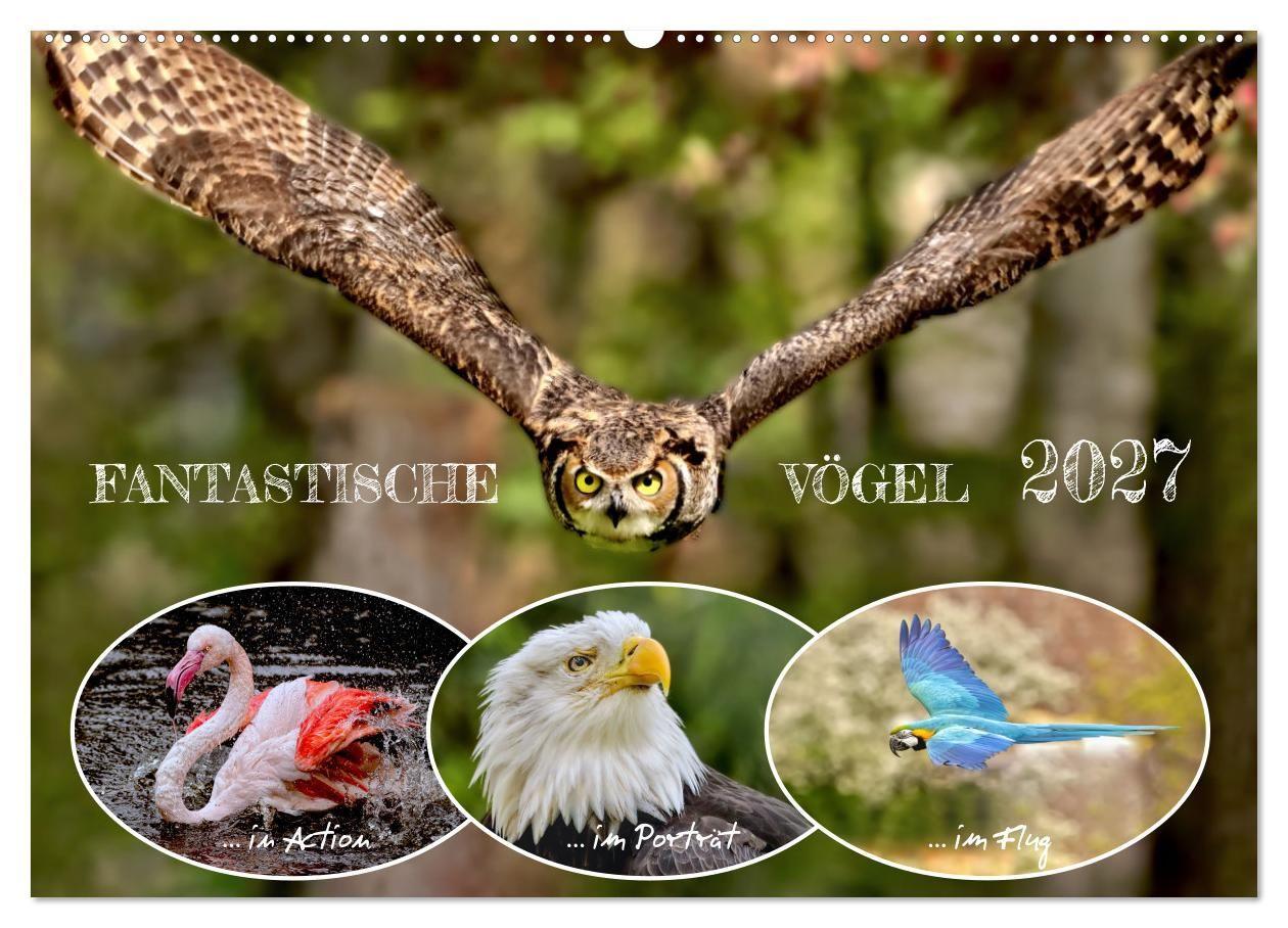 Kalendář/Diář Fantastische Vögel (Wandkalender 2027 DIN A2 quer), CALVENDO Monatskalender Calvendo