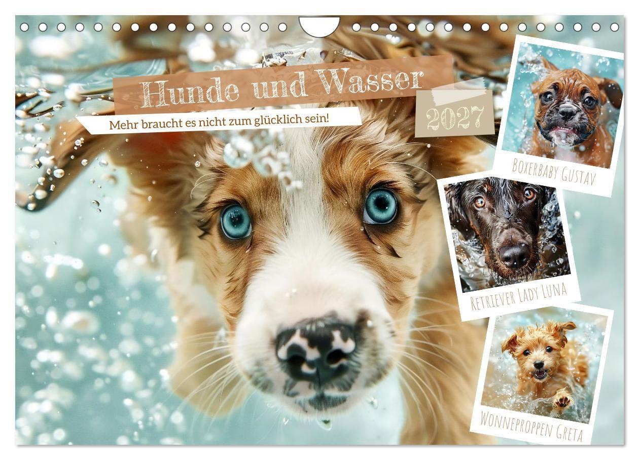 Kalendář/Diář Hunde und Wasser (Wandkalender 2027 DIN A4 quer), CALVENDO Monatskalender Calvendo