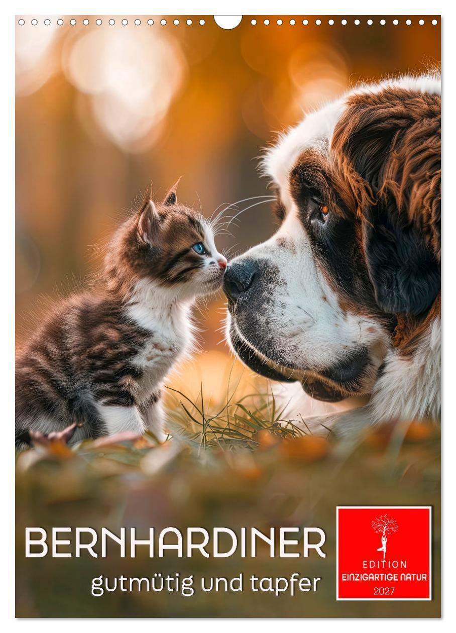 Kalender/agenda Bernhardiner - gutmütig und tapfer (Wandkalender 2027 DIN A3 hoch), CALVENDO Monatskalender Calvendo