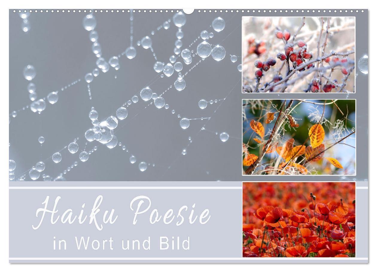 Kalender/agenda Haiku Poesie in Wort und Bild (Wandkalender 2027 DIN A2 quer), CALVENDO Monatskalender Calvendo