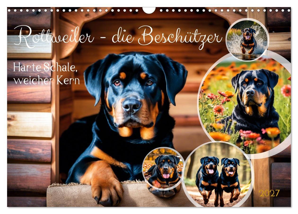 Kalendár/Diár Rottweiler - die Beschützer (Wandkalender 2027 DIN A3 quer), CALVENDO Monatskalender Calvendo