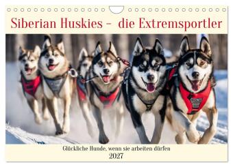 Kalender/Terminbuch Siberian Huskies - die Extremsportler (Wandkalender 2027 DIN A4 quer), CALVENDO Monatskalender Calvendo