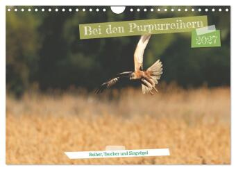 Kalender/Terminbuch Bei den Purpurreihern (Wandkalender 2027 DIN A4 quer), CALVENDO Monatskalender Calvendo