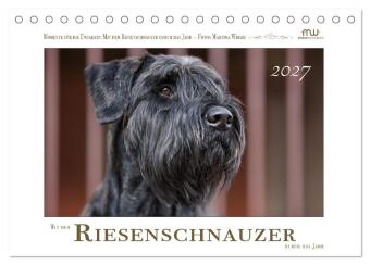 Kalendář/Diář Mit dem Riesenschnauzer durch das Jahr (Tischkalender 2027 DIN A5 quer), CALVENDO Monatskalender Calvendo