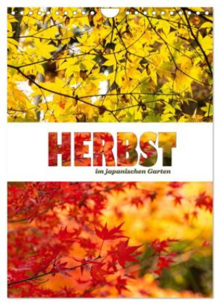 Kalender/Terminbuch Herbst im japanischen Garten (Wandkalender 2027 DIN A4 hoch), CALVENDO Monatskalender Calvendo
