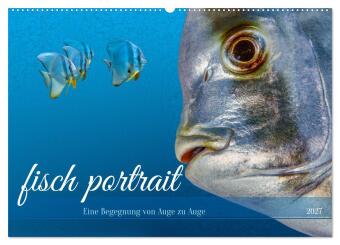 Naptár/Határidőnapló fisch portrait (Wandkalender 2027 DIN A2 quer), CALVENDO Monatskalender Calvendo