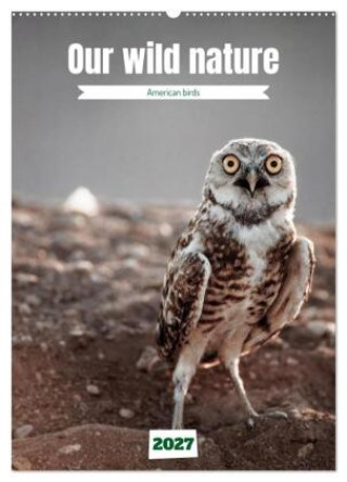 Naptár/Határidőnapló Our wild nature, American birds (Wall Calendar 2027 DIN A2 portrait), CALVENDO 12 Month Wall Calendar Calvendo