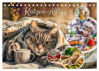 Naptár/Határidőnapló Katzen-Alltag - Ein witziges Jahr mit Kater Tommy (Tischkalender 2027 DIN A5 quer), CALVENDO Monatskalender Calvendo