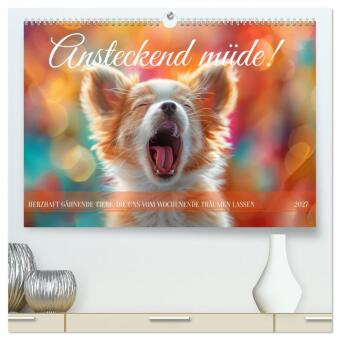 Naptár/Határidőnapló Ansteckend müde! (hochwertiger Premium Wandkalender 2027 DIN A2 quer), Kunstdruck in Hochglanz Calvendo