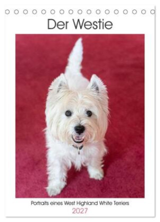 Naptár/Határidőnapló Der Westie - Portrait eines West Highland White Terriers (Tischkalender 2027 DIN A5 hoch), CALVENDO Monatskalender Calvendo