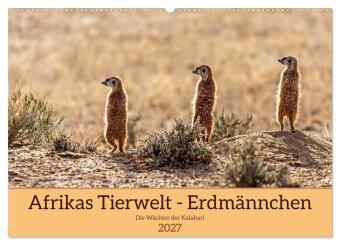 Naptár/Határidőnapló Afrikas Tierwelt - Erdmännchen (Wandkalender 2027 DIN A2 quer), CALVENDO Monatskalender Calvendo