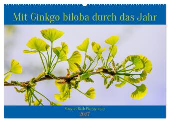 Naptár/Határidőnapló Mit Ginkgo biloba durch das Jahr (Wandkalender 2027 DIN A2 quer), CALVENDO Monatskalender Calvendo