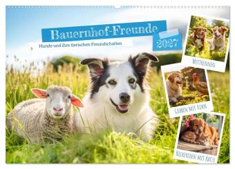 Naptár/Határidőnapló Bauernhof-Freunde - Hunde und ihre tierischen Freundschaften (Wandkalender 2027 DIN A2 quer), CALVENDO Monatskalender Calvendo