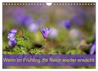 Naptár/Határidőnapló Wenn im Frühling die Natur wieder erwacht (Wandkalender 2027 DIN A4 quer), CALVENDO Monatskalender Calvendo