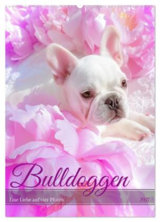Naptár/Határidőnapló Bulldoggen (Wandkalender 2027 DIN A2 hoch), CALVENDO Monatskalender Calvendo