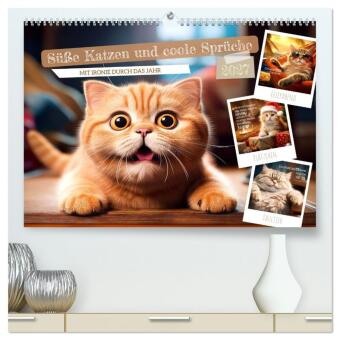 Naptár/Határidőnapló Süße Katzen und coole Sprüche (hochwertiger Premium Wandkalender 2027 DIN A2 quer), Kunstdruck in Hochglanz Calvendo