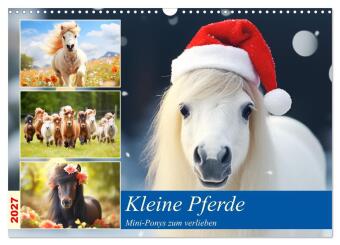 Naptár/Határidőnapló Kleine Pferde. Mini-Ponys zum verlieben (Wandkalender 2027 DIN A3 quer), CALVENDO Monatskalender Calvendo