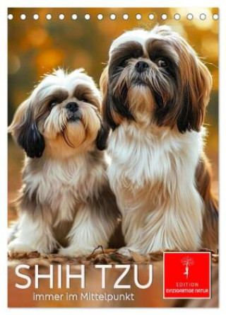 Naptár/Határidőnapló Shih Tzu - immer im Mittelpunkt (Tischkalender 2027 DIN A5 hoch), CALVENDO Monatskalender Calvendo