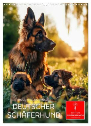 Kalender/agenda Deutscher Schäferhund - mutig und zuverlässig (Wandkalender 2027 DIN A3 hoch), CALVENDO Monatskalender Calvendo