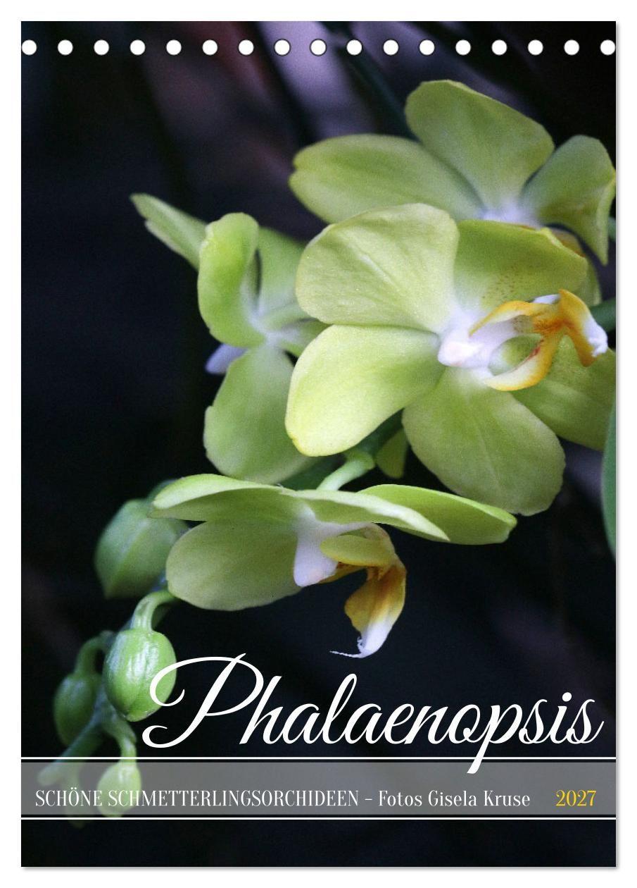 Kalender/Terminbuch Phalaenopsis - Schöne Schmetterlingsorchideen (Tischkalender 2027 DIN A5 hoch), CALVENDO Monatskalender Calvendo